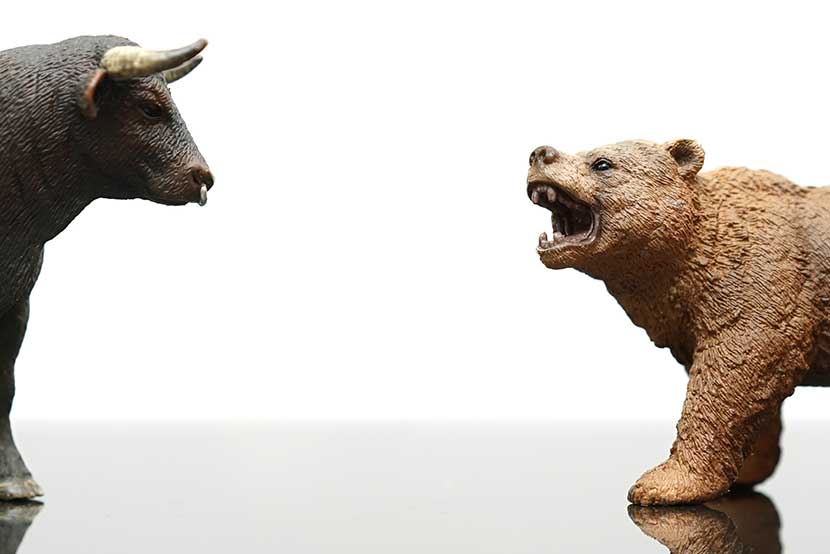 Ferocious bear figurine roaring at a bull figurine