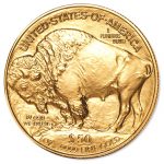 1 oz. Gold American Buffalo Coin, View of Back