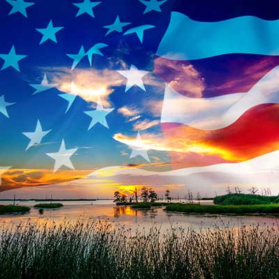 American flag waving over swamp at dusk