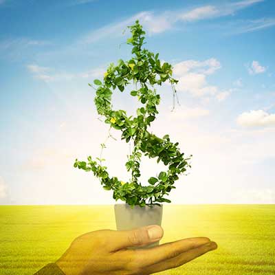 dollar sign growing out of a pot like a plant with a hand holding the pot against a sunny sky background