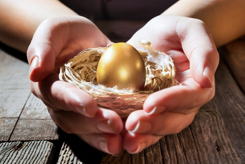Hands holding nest with golden egg inside