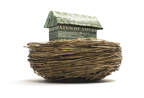 Origami cash house in a nest.