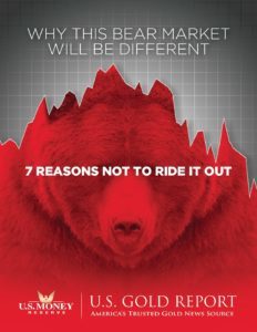 why this bear market will be different book with image of red bear in front of grey stock market graph