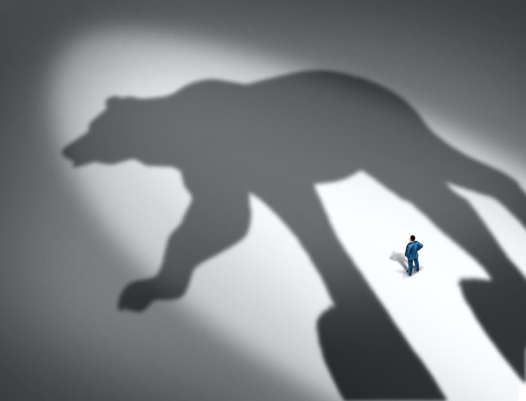 Man standing in front of a shadow of a bear