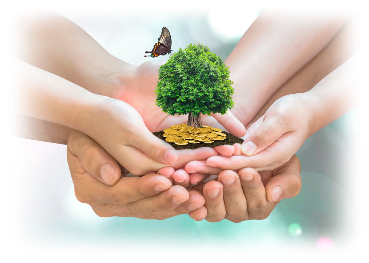 Adult and child hands holding small tree surrounded by gold coins
