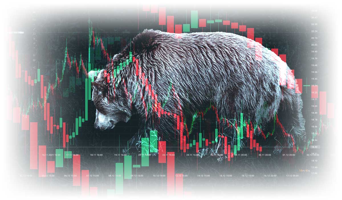 Image of bear mixed with stock market charts