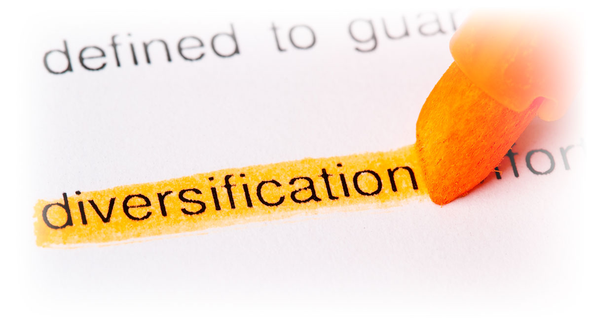 Printed document with the word “diversification” being highlighted
