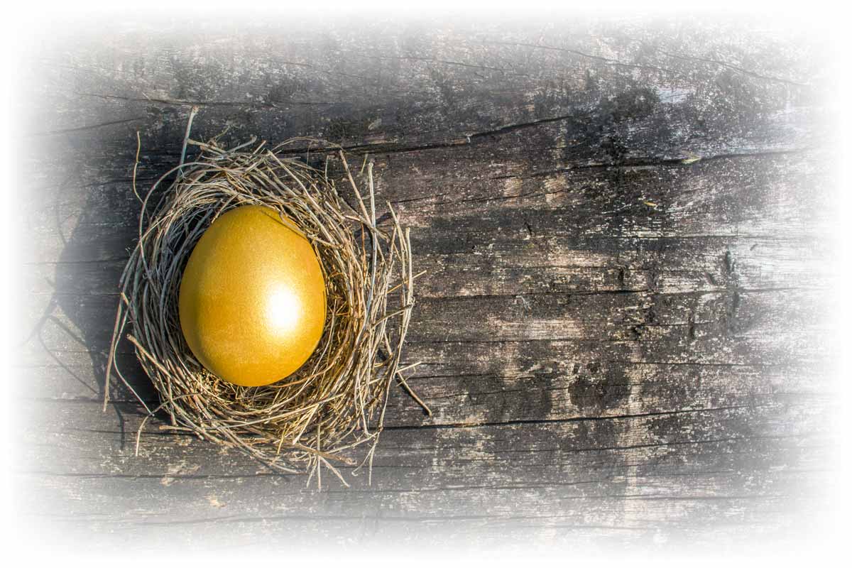 Gold egg in nest on wooden table