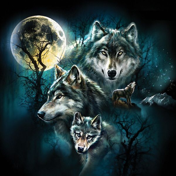 wolf artwork by Tami Alba