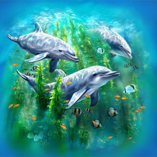 dolphin ocean scene from Tami Alba