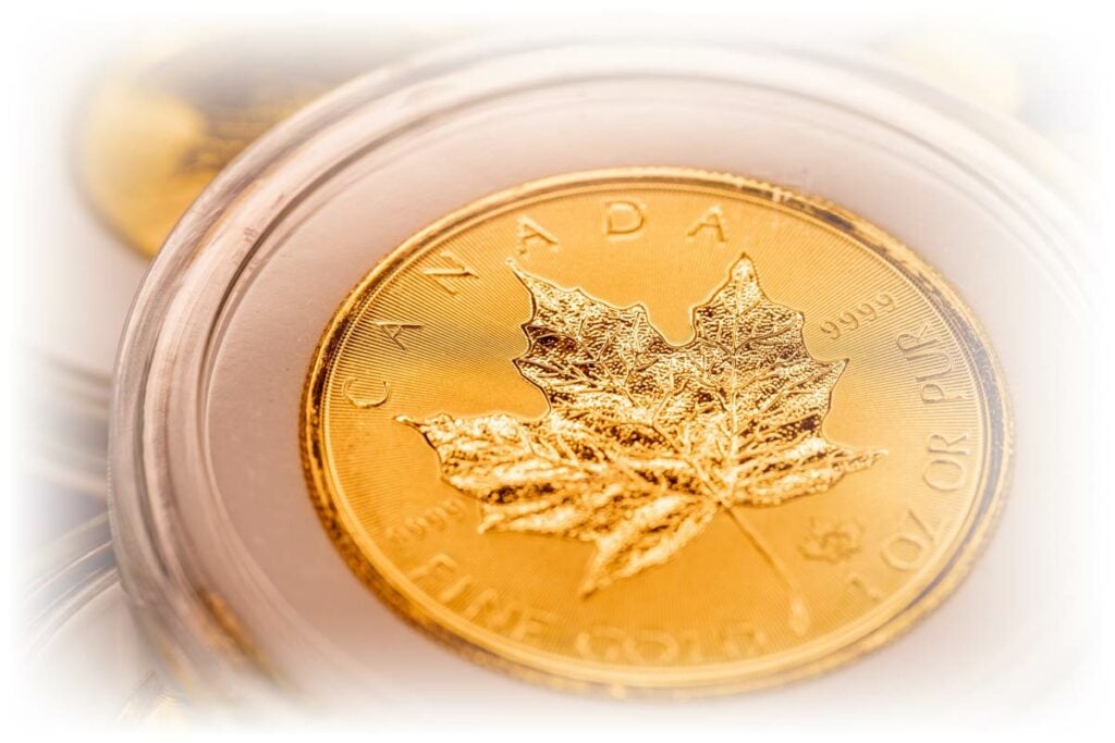 Close-up of Gold Canadian Maple Leaf coins in plastic holders