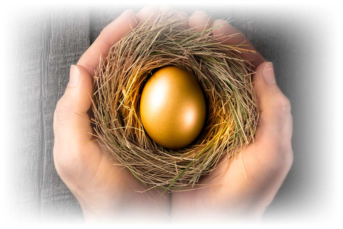 Hands holding golden egg in nest
